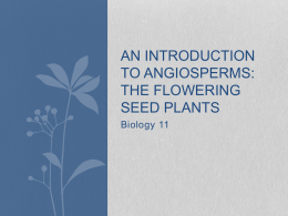 An Introduction to Angiosperms: The Flowering Seed Plants