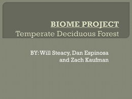 BIOME PROJECT Temperate Deciduous Forest