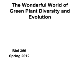 Green plant diversity