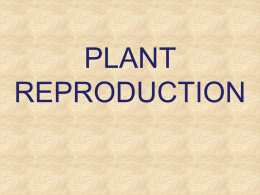 Plant Reproduction - Petal School District