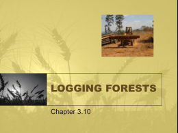 Logging Forests - Leo Hayes High School