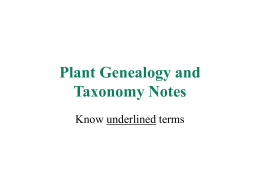 PlantGeneaology04