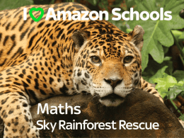 Maths - Sky Rainforest Rescue
