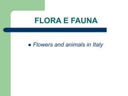 flora e fauna/ Animals and plants in Italy