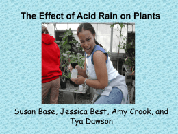 The Effect of Acid Rain on Plants