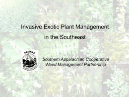 Invasive Exotic Plant Management in the Southeast