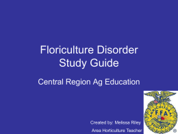 Floriculture Disorder Study PowerPoint