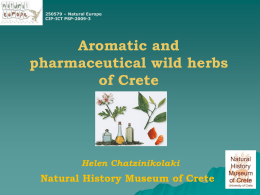 Aromatic wild herbs