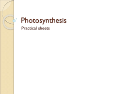Photosynthesis - Inverness Royal Academy