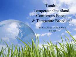 E Block Tundra, Temperate Grassland, Coniferous