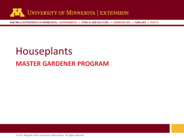 Houseplants - University of Minnesota Extension