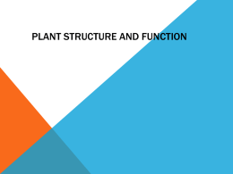 Plant Structure and Function 2014using