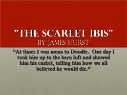 "The Scarlet Ibis"