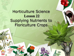 Horticulture Science