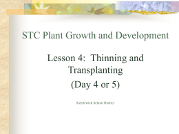 STC Plant Growth and Development Lesson 4