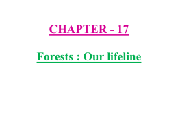 CHAPTER - 12 Forests : Our lifeline