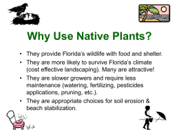 Why use native plants?