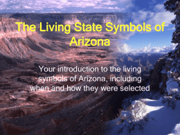 Arizona State Symbols Powerpoint Presentation