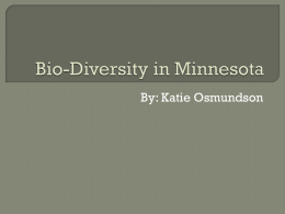 Bio-Diversity in Minnesota