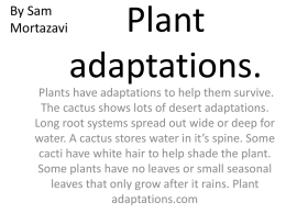 Plant adaptations - Parkland School District