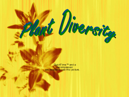 PLANT DIVERSITY II