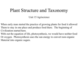 Plant Structure and Taxonomy - BROADUS