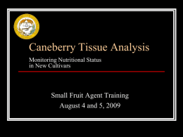 Blackberry Tissue Analysis - The Southern Region Small