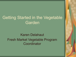 Getting Started in the Vegetable Garden