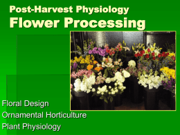 Flower Processing
