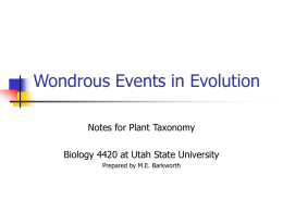 Wondrous Events in Evolution
