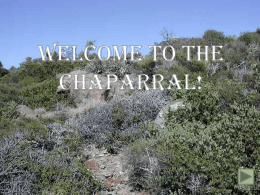 WELCOME TO THE CHAPARRAL! - Great Neck School District
