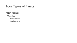 Four Types of Plants