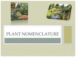 Plant Nomenclature - Riverside High School