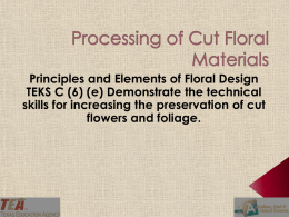 Processign Cut Floral Materials