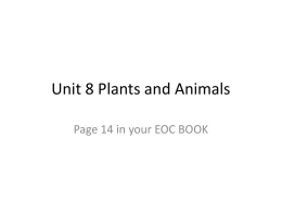 Unit 8 Plants and Animals