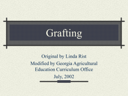 Grafting - gaaged.org
