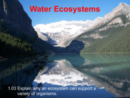 Water Ecosystems