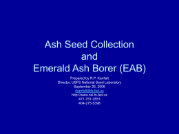 Ash Seed Collection - USDA Forest Service