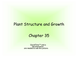 PLANT STRUCTURE AND GROWTH