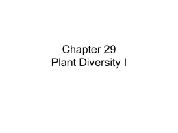 Chapter 29_30 Plant Diversity I & II