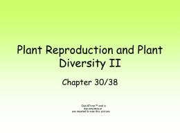 PLANT DIVERSITY II