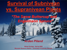 Survival of Subnivean vs. Supranivean Plants
