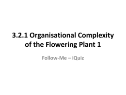 3.2.1 Organisational Complexity of the Flowering Plant 1