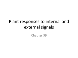 Plant responses to internal and external signals