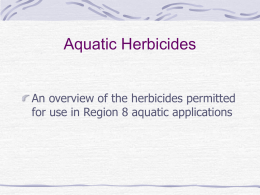 Aquatic Herbicides - Center for Invasive Species and