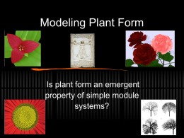 Modeling Plant Form
