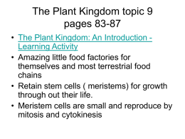 Plant Classification Bryophytes