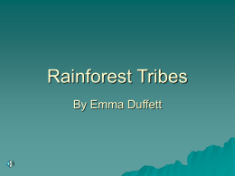 Rainforest Tribes