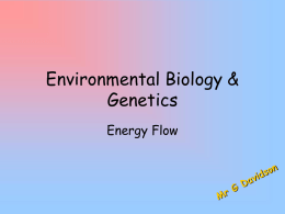 Environmental Biology & Genetics