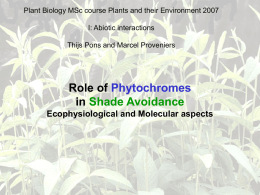 Involvement of Phytochromes in Shade Avoidance